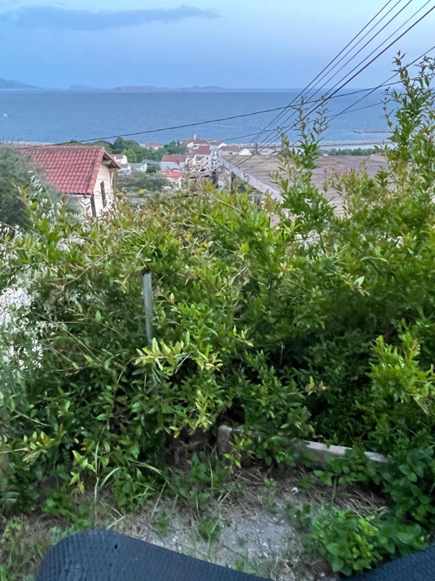 Magnifique Vue Sur La Mer ... مارسيليا المظهر الخارجي الصورة